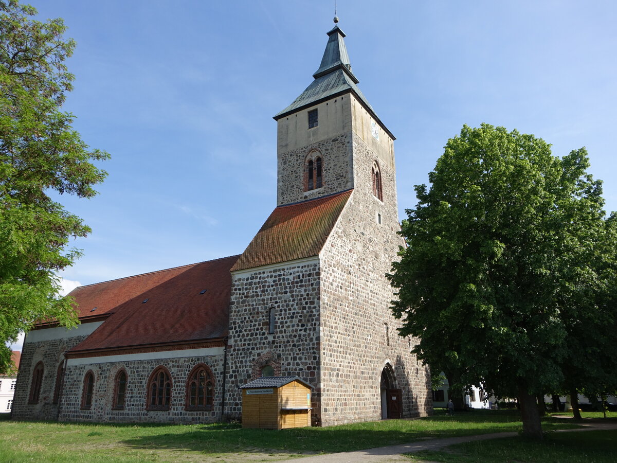 Altlandsberg, evangelische St. Marien Kirche, erbaut im 13. Jahrhundert (24.05.2026)