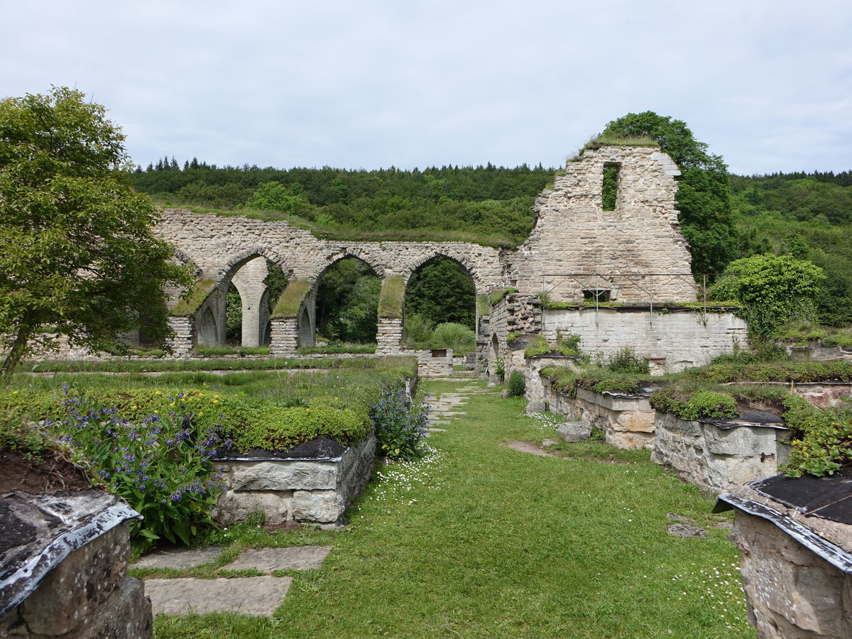 Alvastra, Ruine des Zisterzienser Kloster, gegrndet 1143 (15.06.2017)