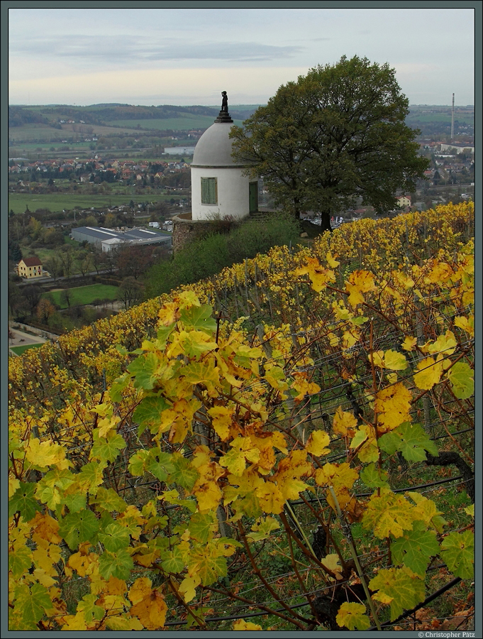 Am 1. November 2013 ist die Weinlese in Radebeul bereits abgeschlossen, das Weinlaub zeigt sich hingegen in der schnsten Farbenpracht. Der 1742 errichteten Weinbergspavillion Jacobstein gehrt zum Schloss Wackerbarth und wird von einer Bacchusfigur gekrnt. Der Jacobstein ist ein beliebter Aussichtspunkt mit Blick auf das Elbtal von Dresden bis Meien, im Hintergrund sind Coswig und Radebeul-Naundorf zu sehen. 