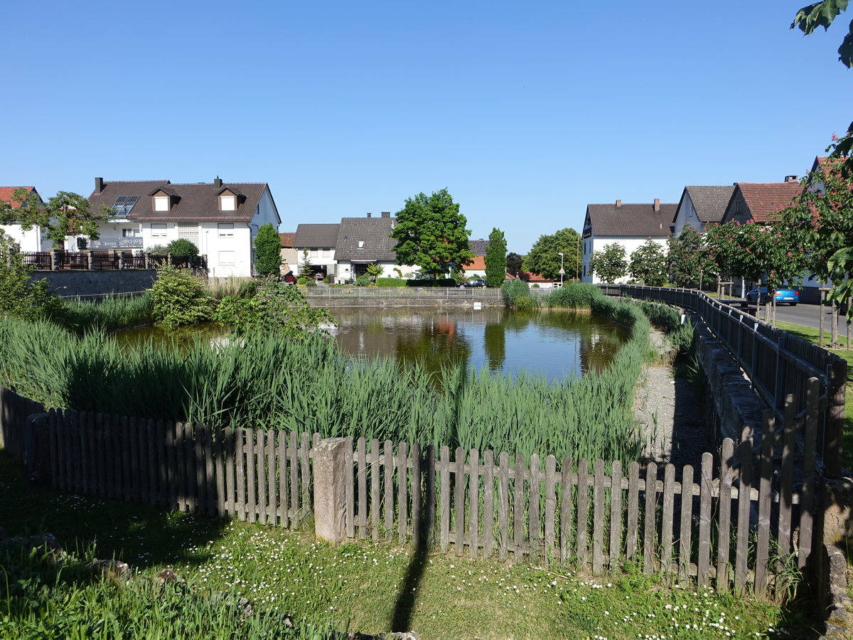 Am Dorfweiher in der Kirchgasse von Wasserlosen (27.05.2017)