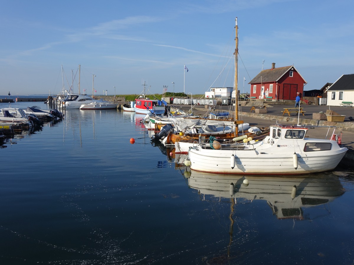 Am Hafen von Viken bei Hganas (13.06.2015)