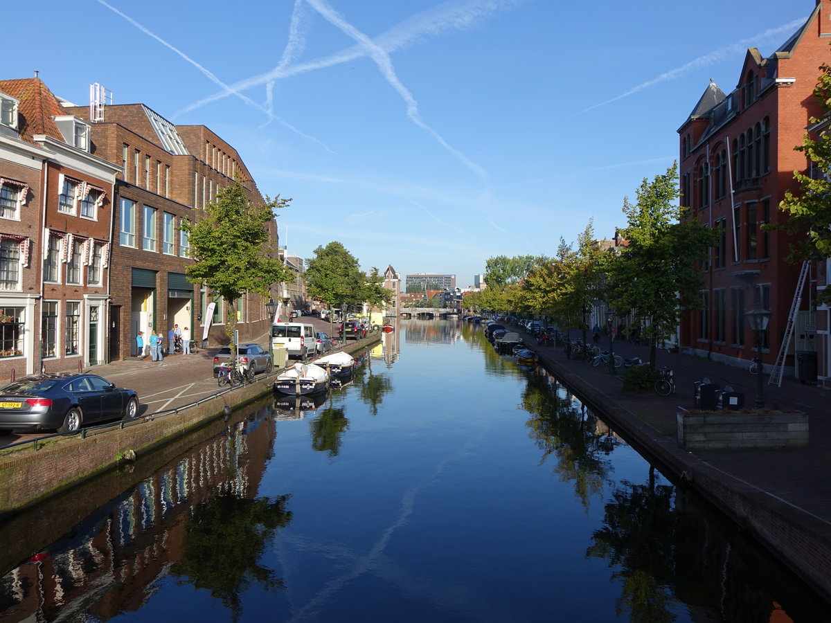 Am Stille Rijn in Leiden (23.08.2016)