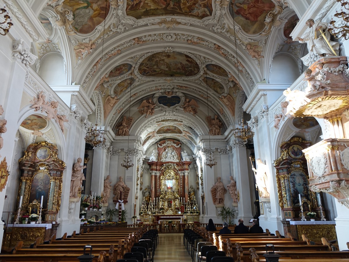 Amberg, Wallfahrtskirche Maria Hilf, Fresken von Cosmas Damian Asam, Stuck von 
Giovanni Battista Carlone (06.04.2015)