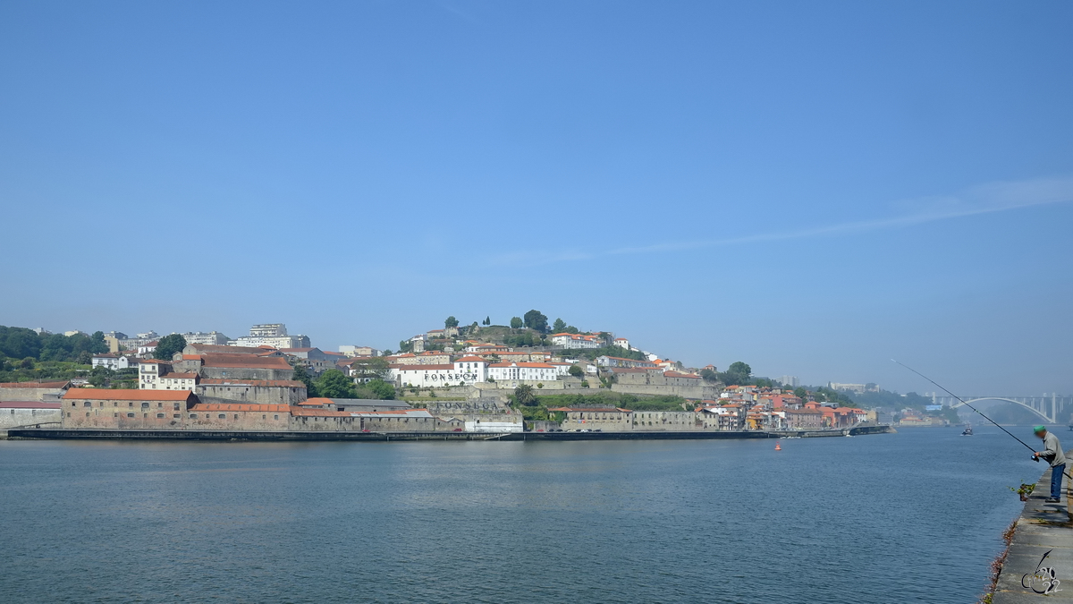Angeln am Douro in Porto. (Mai 2013)