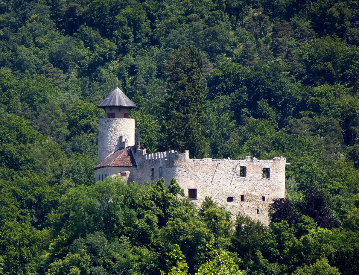Arlesheim, die Burg Birseck aus der Zeit um 1243 steht unter Denkmalschutz, Juli 2013