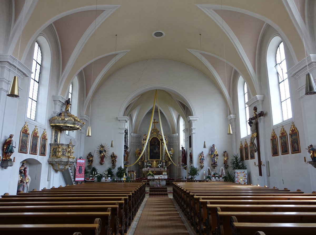 Arnschwang, Innenraum der kath. Pfarrkirche St. Martin, Saalbau mit eingezogenem Chor, erbaut 1723 (03.06.2017)