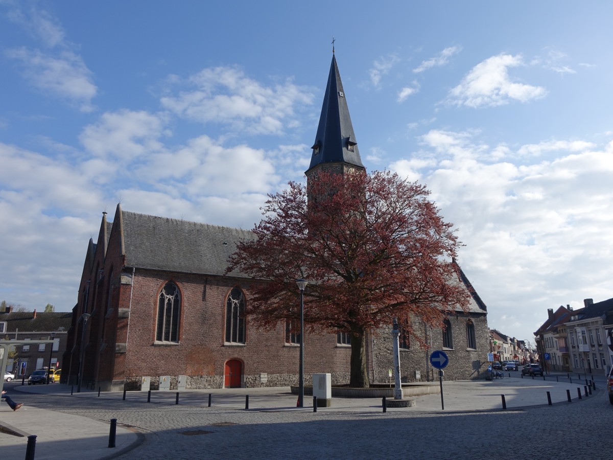 Assenede, St. Petrus und Martinus Kirche, einschiffige Kirche mit achteckigem Hauptturm, romanische berreste aus dem 12. Jahrhundert im Turm, Chor 14. Jahrhundert, neugotisches Schiff von 1864, Westfassade erbaut 1948 (30.04.2015)