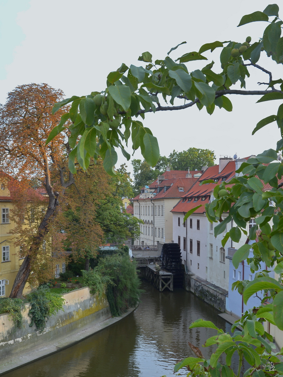 Auf der beschaulichen Halbinsel Kampa in Prag ist diese mittelalterliche Wassermühle zu sehen. (September 2012)