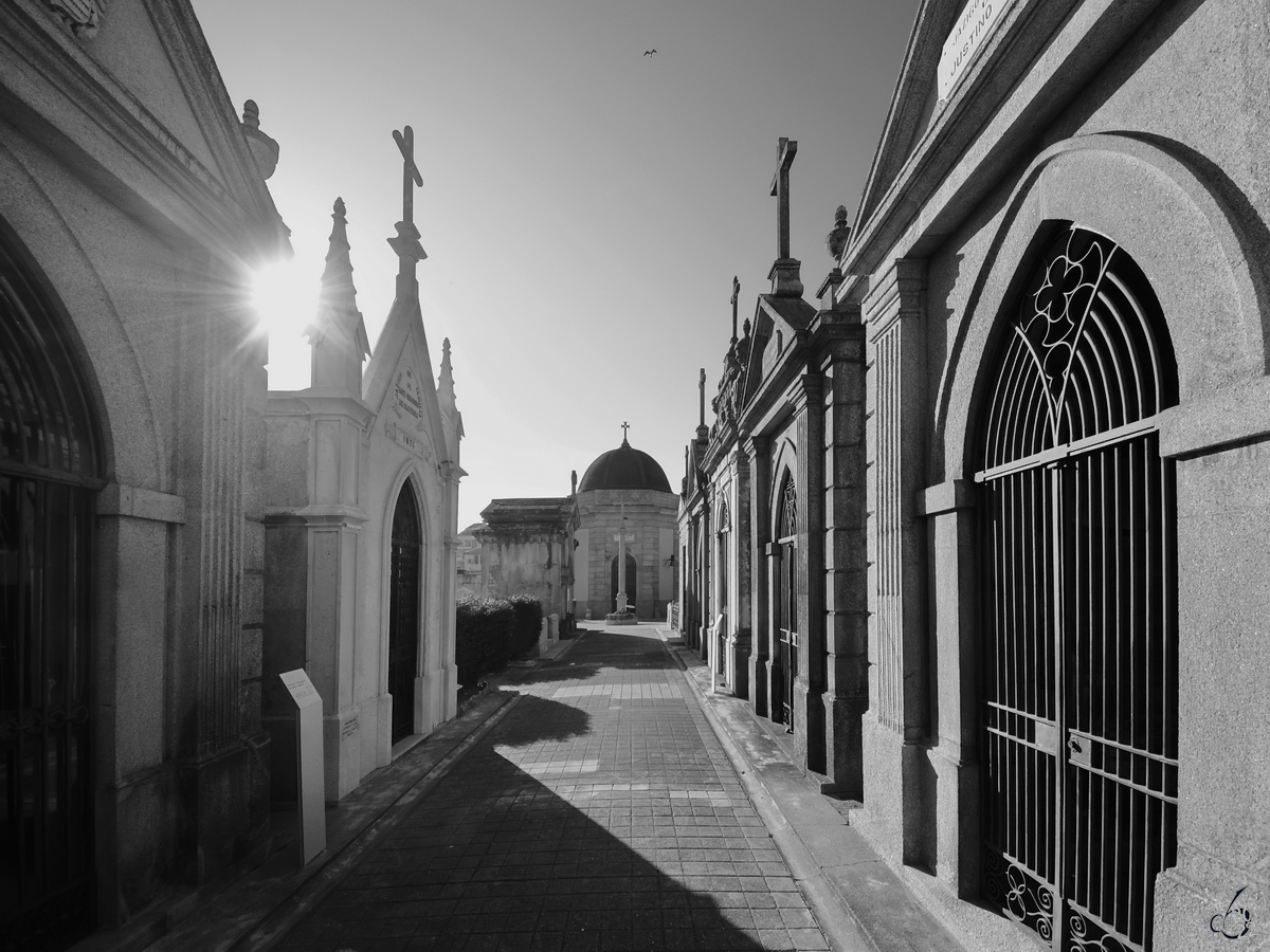 Auf dem Friedhof von Lapa (Cemitrio da Lapa) sind viele Mausoleen zu finden. (Porto, Januar 2017)