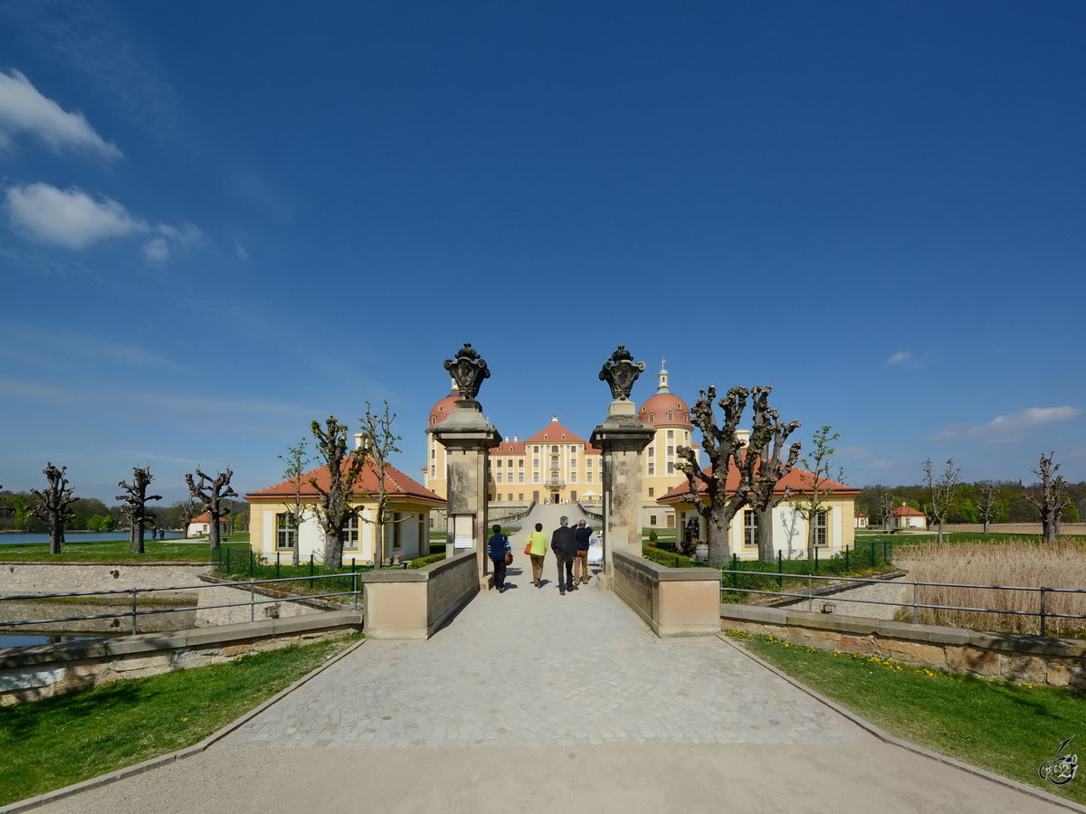 Auf dem Weg zum barocken Jagd- und Lustschloss in Moritzburg. (April 2014)