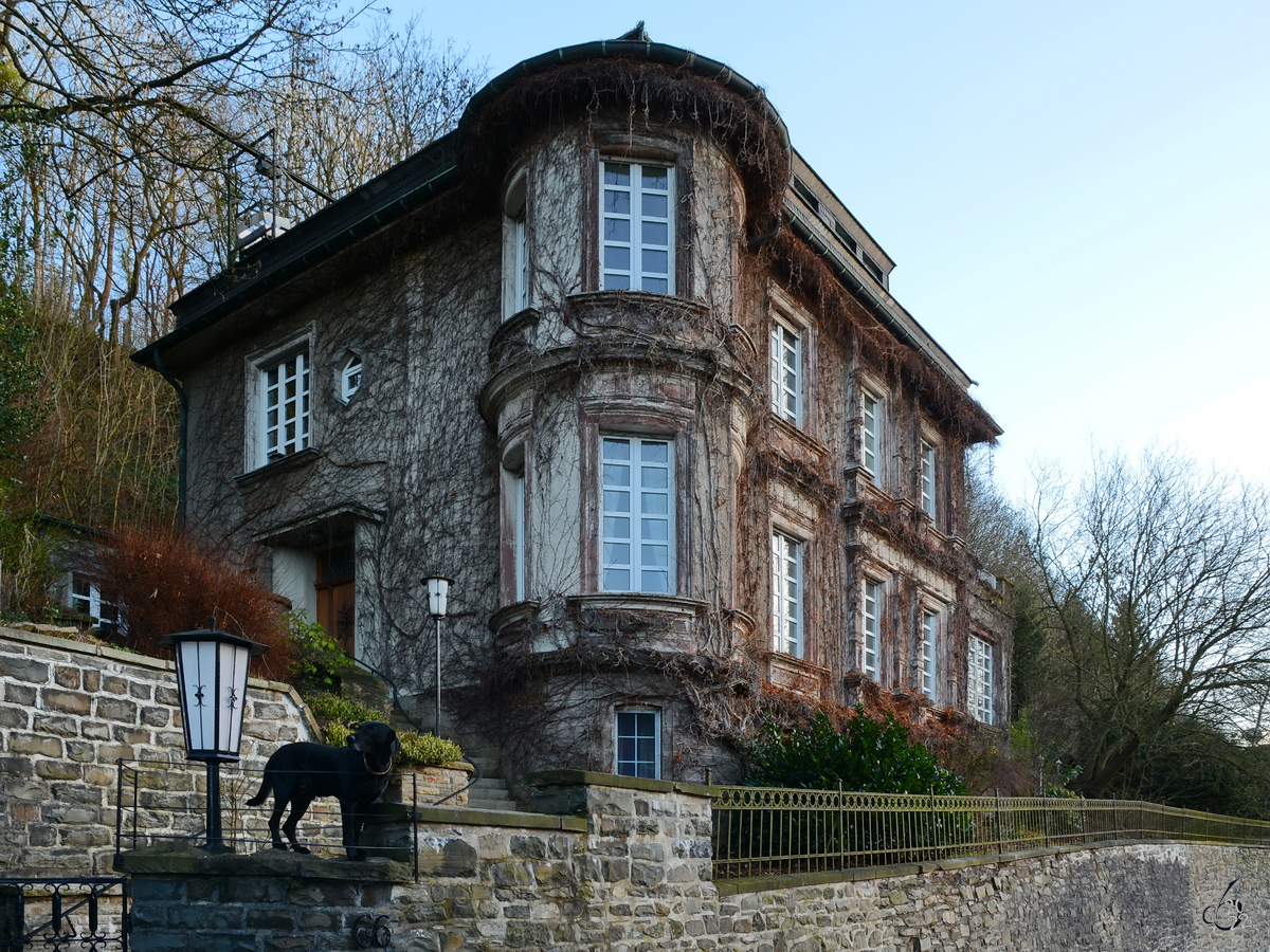 Auf dem Weg zur Burg Altena kommt man an diese schne alte (und gut bewachte) Villa vorbei. (Februar 2014)