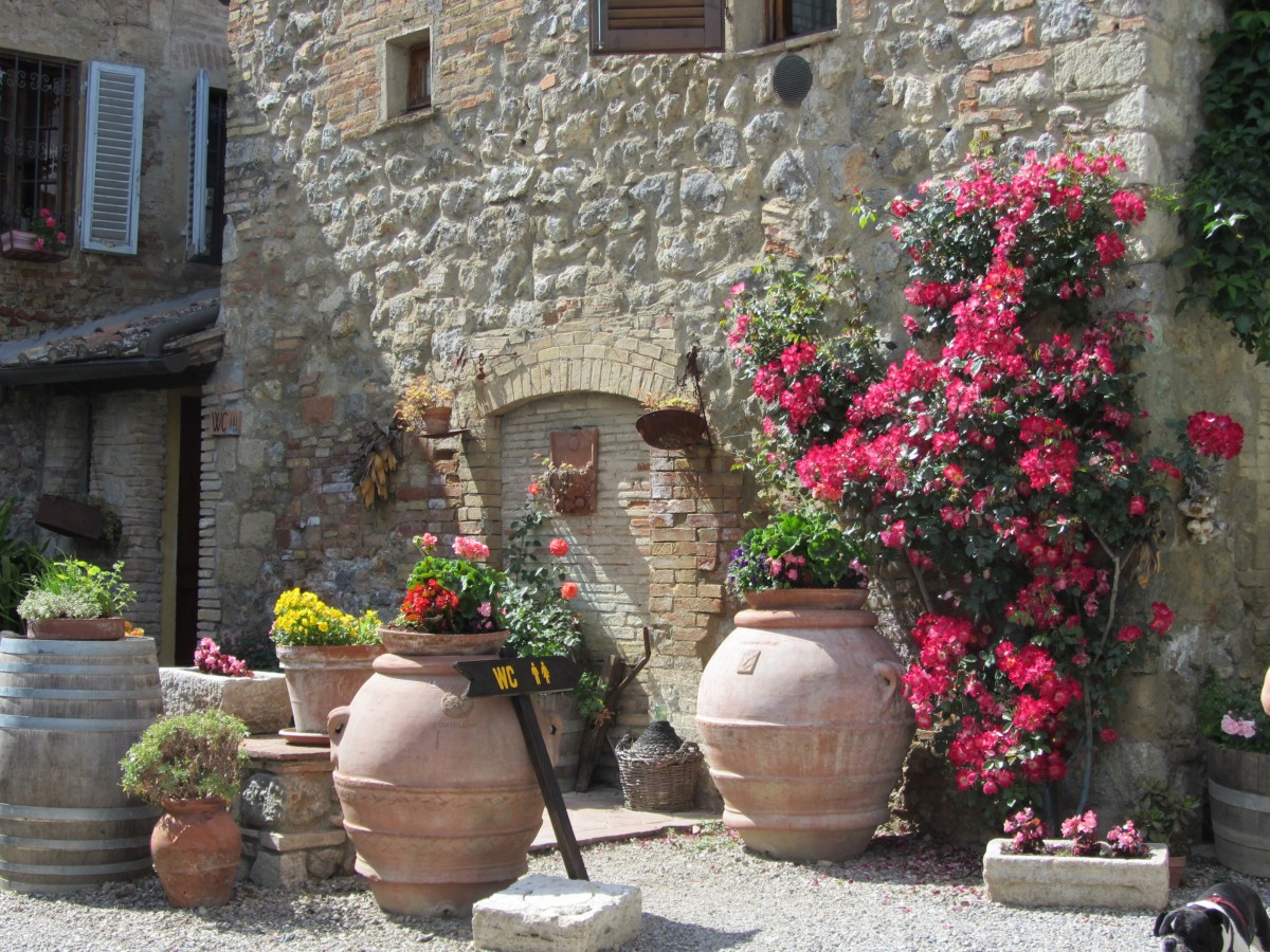 auf einem Weingut mit einem ganz leckeren Chianti bei San Gimignano, Foto am 20.5.2014
