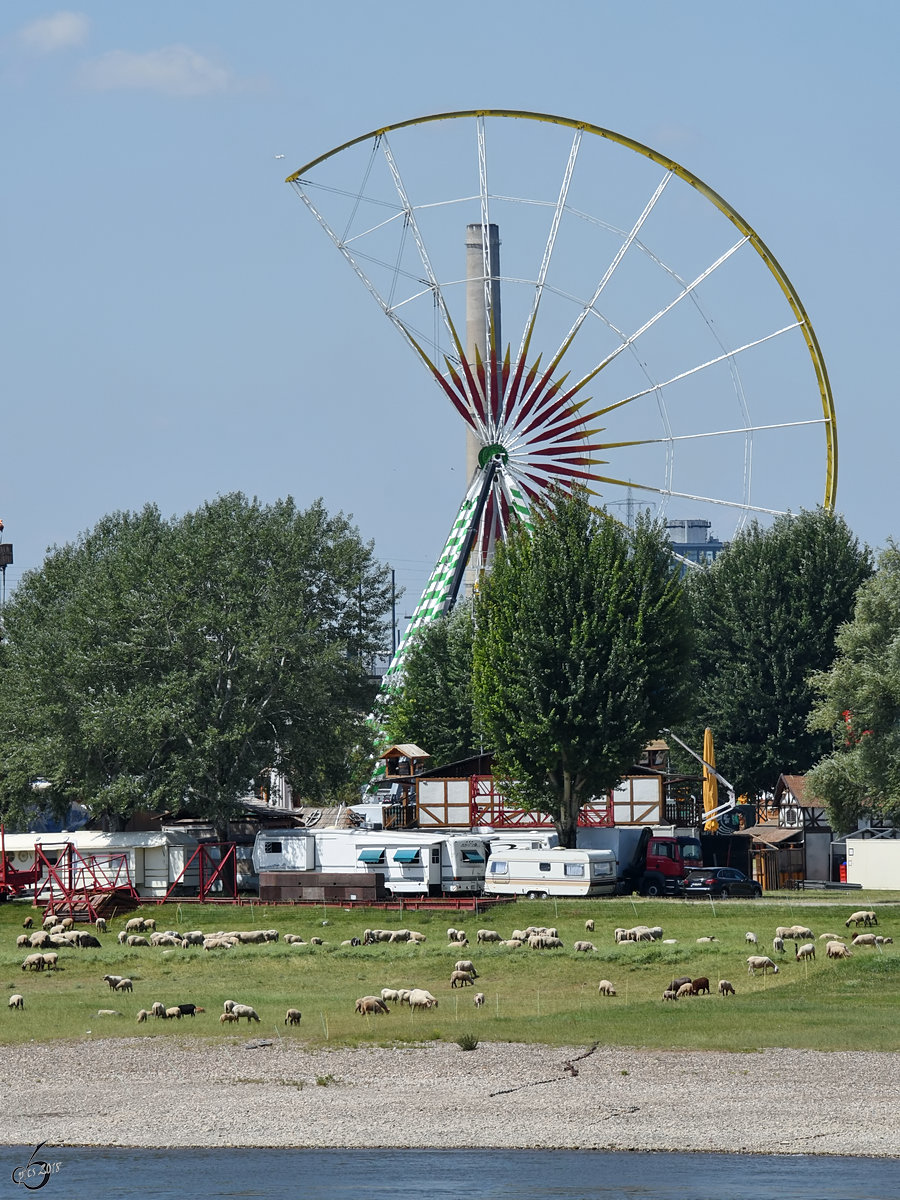 Aufbau eines Riesenrades auf den Rheinwiesen. (Dsseldorf, Juni 2018)