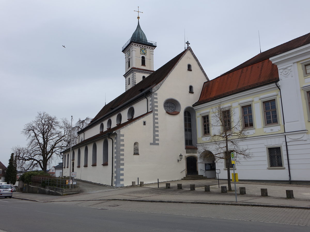 Aulendorf, kath. Pfarrkirche St. Martin, erbaut ab 1498, frhbarocker Umbau von 1653 bis 1662 (05.04.2021)