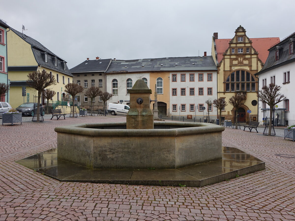 Auma, Brunnen und Huser am Markt (29.04.2023)