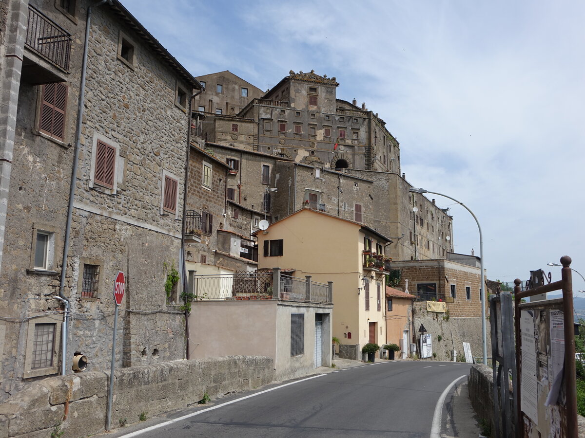 Ausblick auf die Altstadt von Bomarzo auf einem Tuffhgel an den Auslufern der Monti Cimini (24.05.2022)