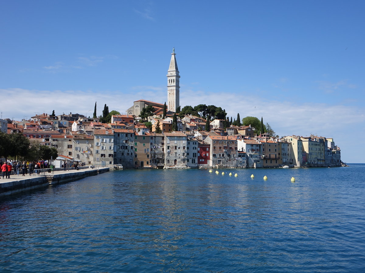 Aussicht auf die Altstadt von Rovinj mit der Kirche St. Euphemia (29.04.2017)