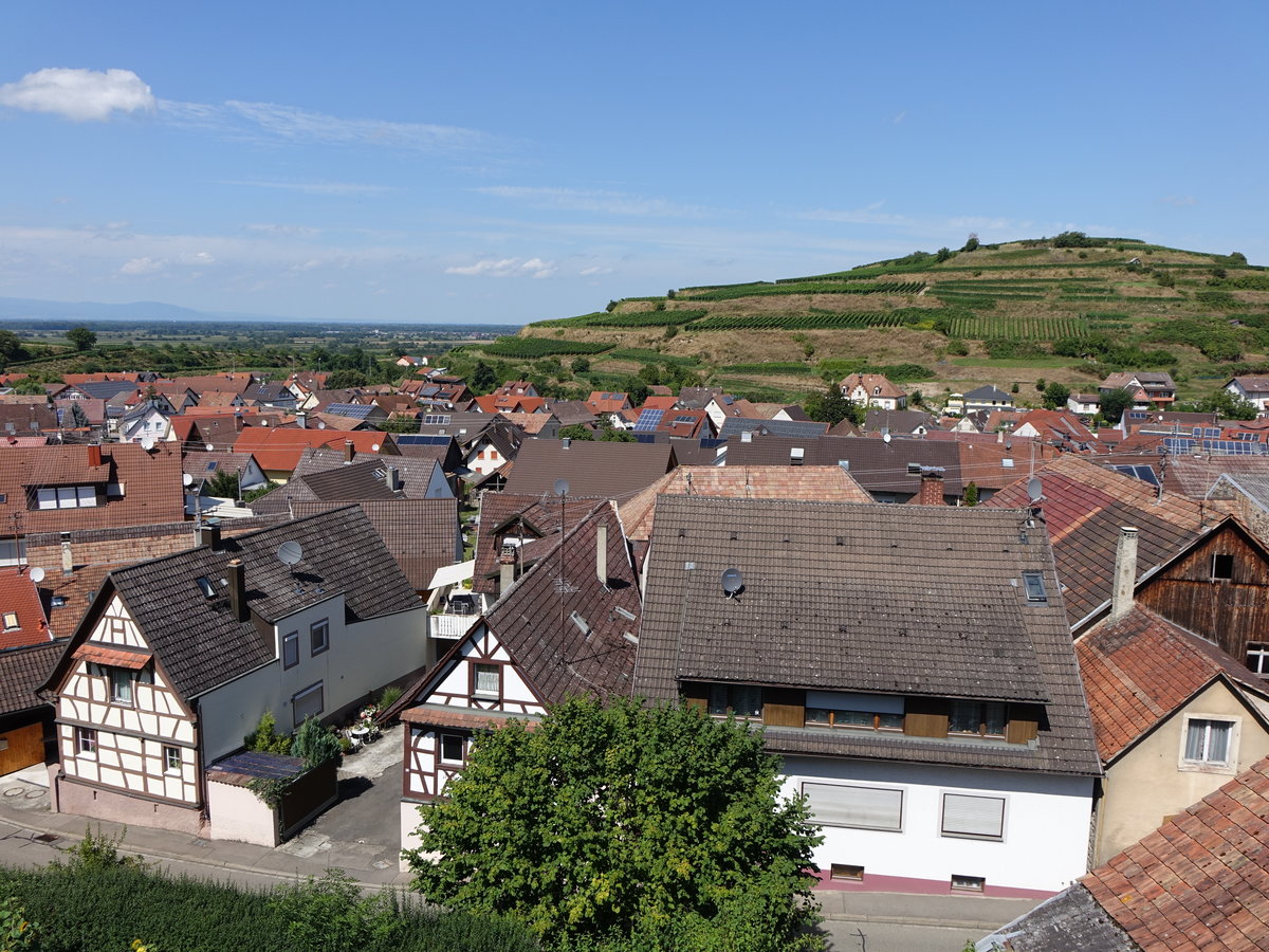 Aussicht auf den Ort Kiechlinsbergen im Norden des Kaiserstuhls (14.08.2016)