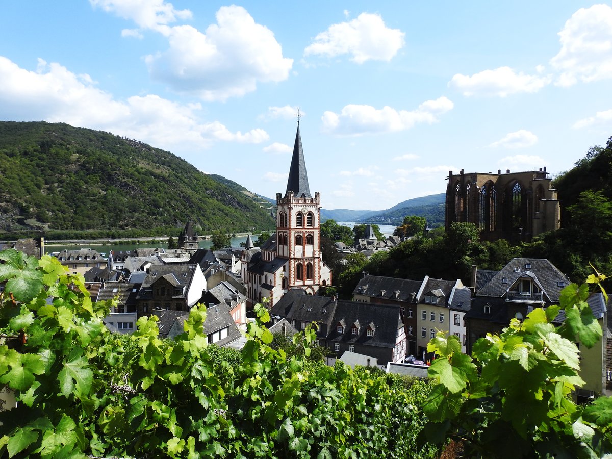 BACHARACH/RHEIN(WELTERBE MITTELRHEIN)
Blick aus den Weinbergen ber BACHARACH mit der ev. Stadtkirche ST. PETER und der Ruine
der gotischen WERNER-KAPELLE...am 21.8.2019