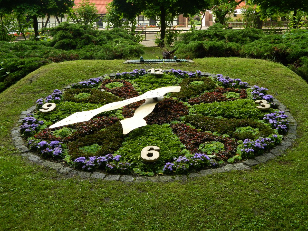 Bad Drrenberg, Kurpark der Saline: Blumenuhr (24.06.2013)