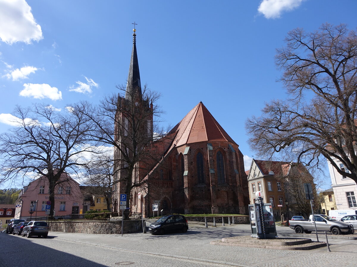 Bad Freienwalde, evangelische Stadtkirche St. Nicolai, Backsteinkirche aus dem 15. Jahrhundert (08.04.2026)