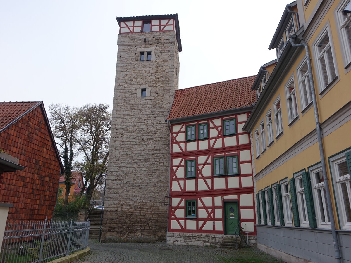 Bad Langensalza, Butterturm in der Mauergasse (14.11.2022)