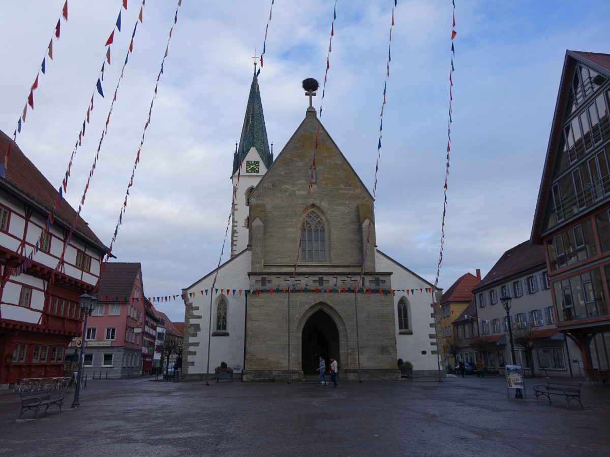 Bad Saulgau, Stadtkirche St. Johannes, hochgotische Pfeilerbasilika, erbaut von 1390 bis 1402 (24.01.2016)