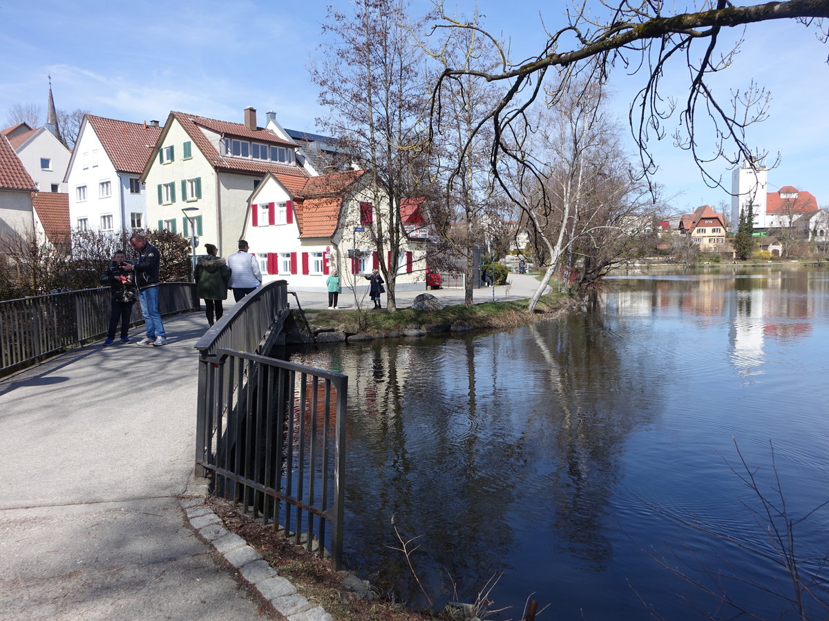 Bad Waldsee, Brcke ber den Stadtsee am Schwanenberg (28.03.2021)