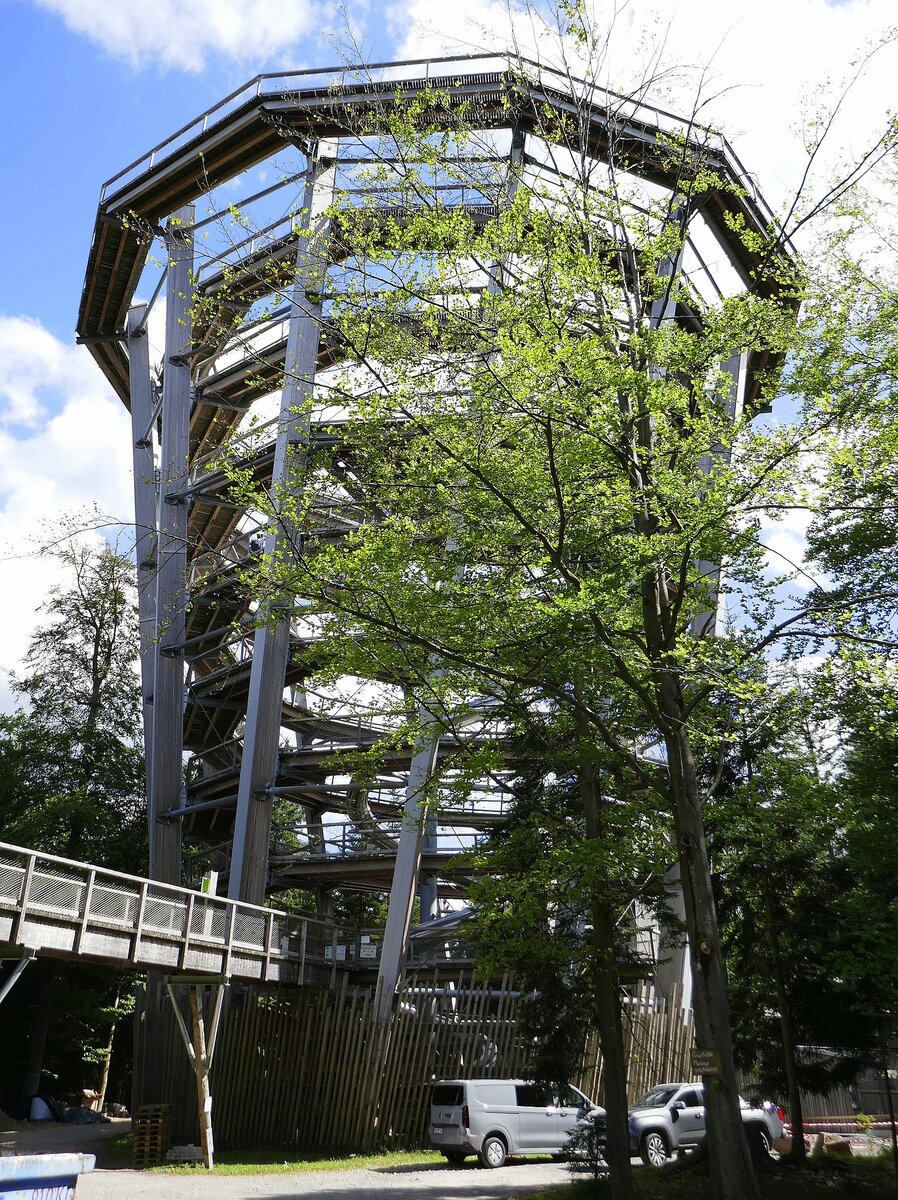 Bad Wildbad, der ca.40m hohe Aussichtsturm des Baumwipfelpfades auf dem Sommerberg, Sept.2026