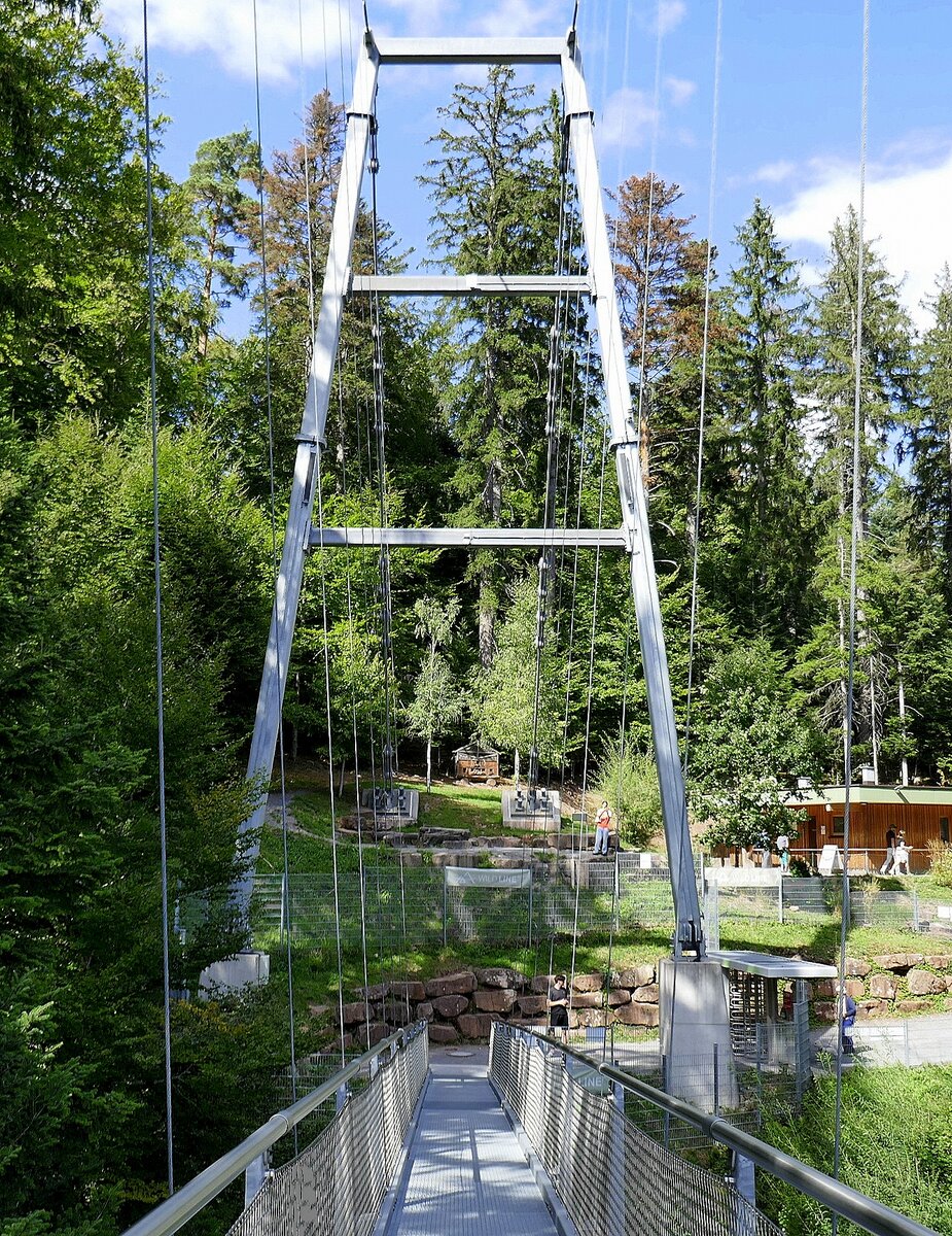 Bad Wildbad, einer der zwei Pylone der Fu�g�ngerh�ngebr�cke  Wildline , Sept.2026