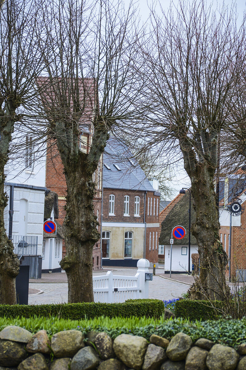 Bume an der Skolegade (Schulstrae) in der Stadt Hjer (deutsch Hoyer) in Nordschleswig. Aufnahme: 18. Mrz 2024.