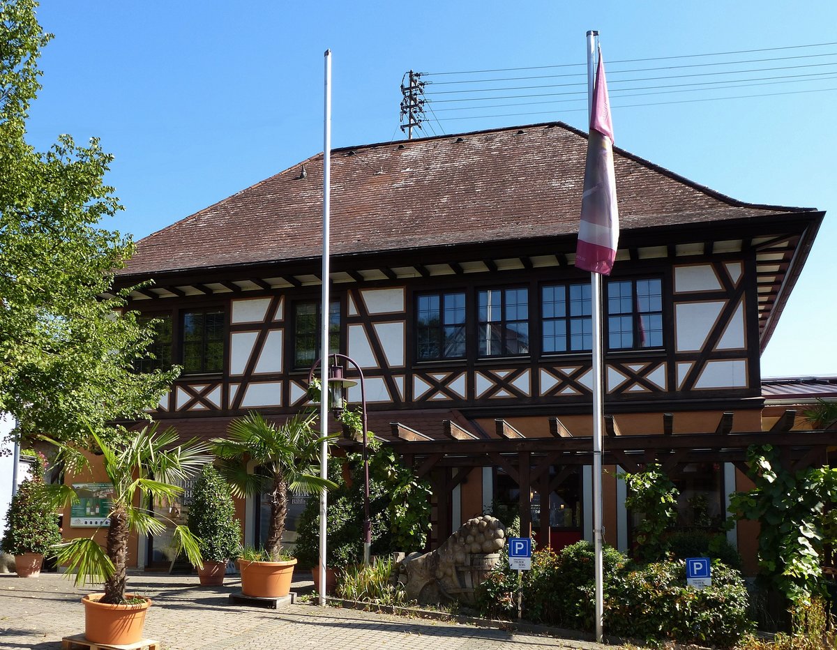 Bahlingen am Kaiserstuhl, die Winzergenossenschaft, Aug.2015