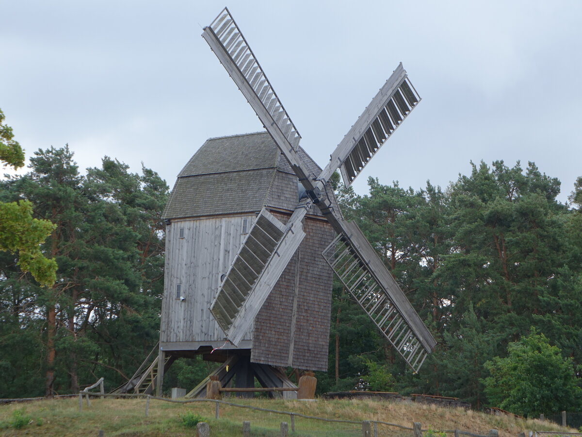 Bamme, Bockwindmhle, erbaut 1569 auf dem Mhlenberg, Umbau 1701 (08.07.2025)
