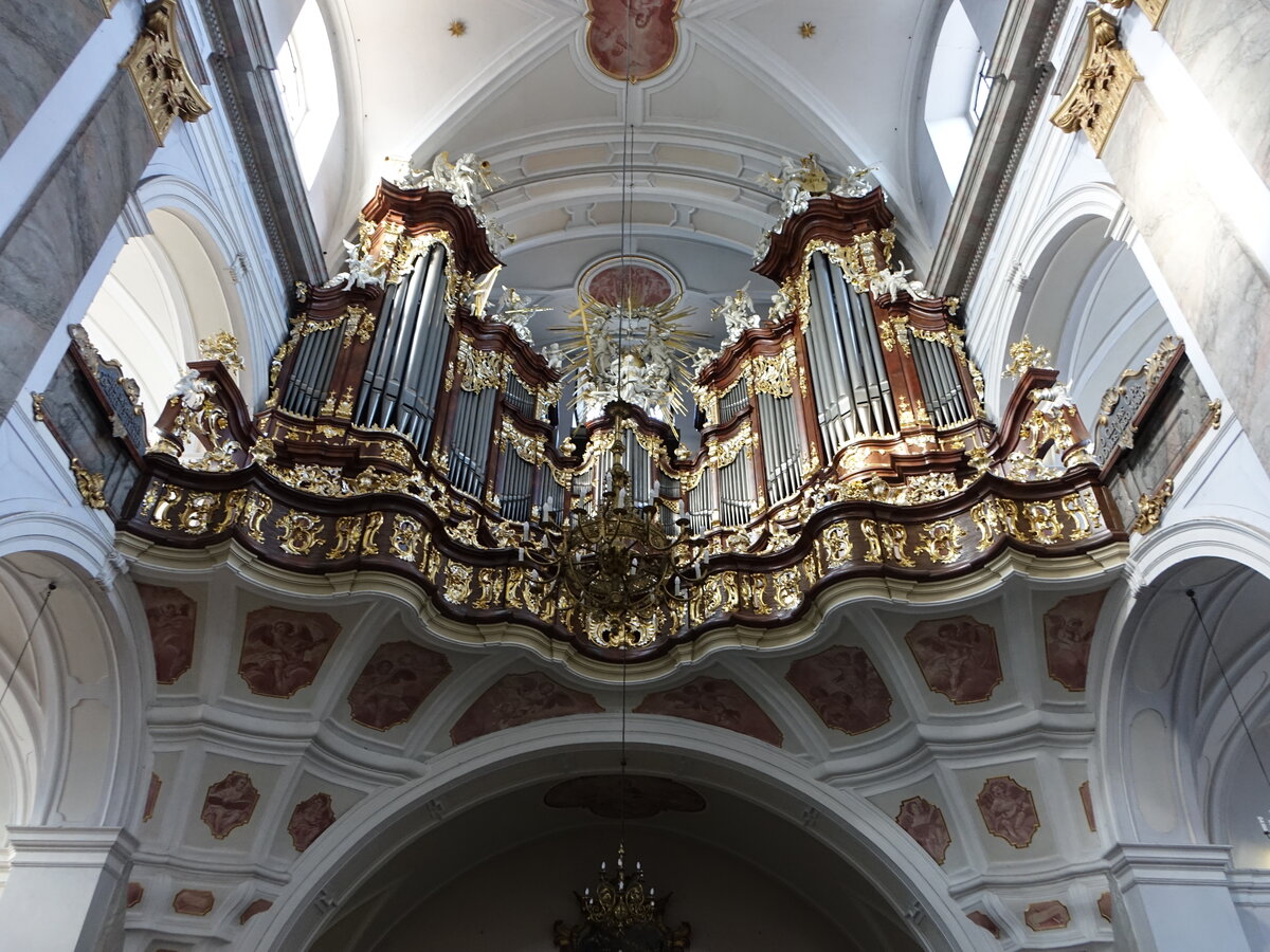 Bardo / Wartha, Orgelempore in der St. Marien Kirche (12.09.2021)