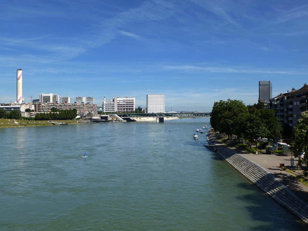 Basel, Blick von der Johanniterbrcke fluabwrts zur Dreirosenbrcke und dem Novartis-Campus links, Juli 2016