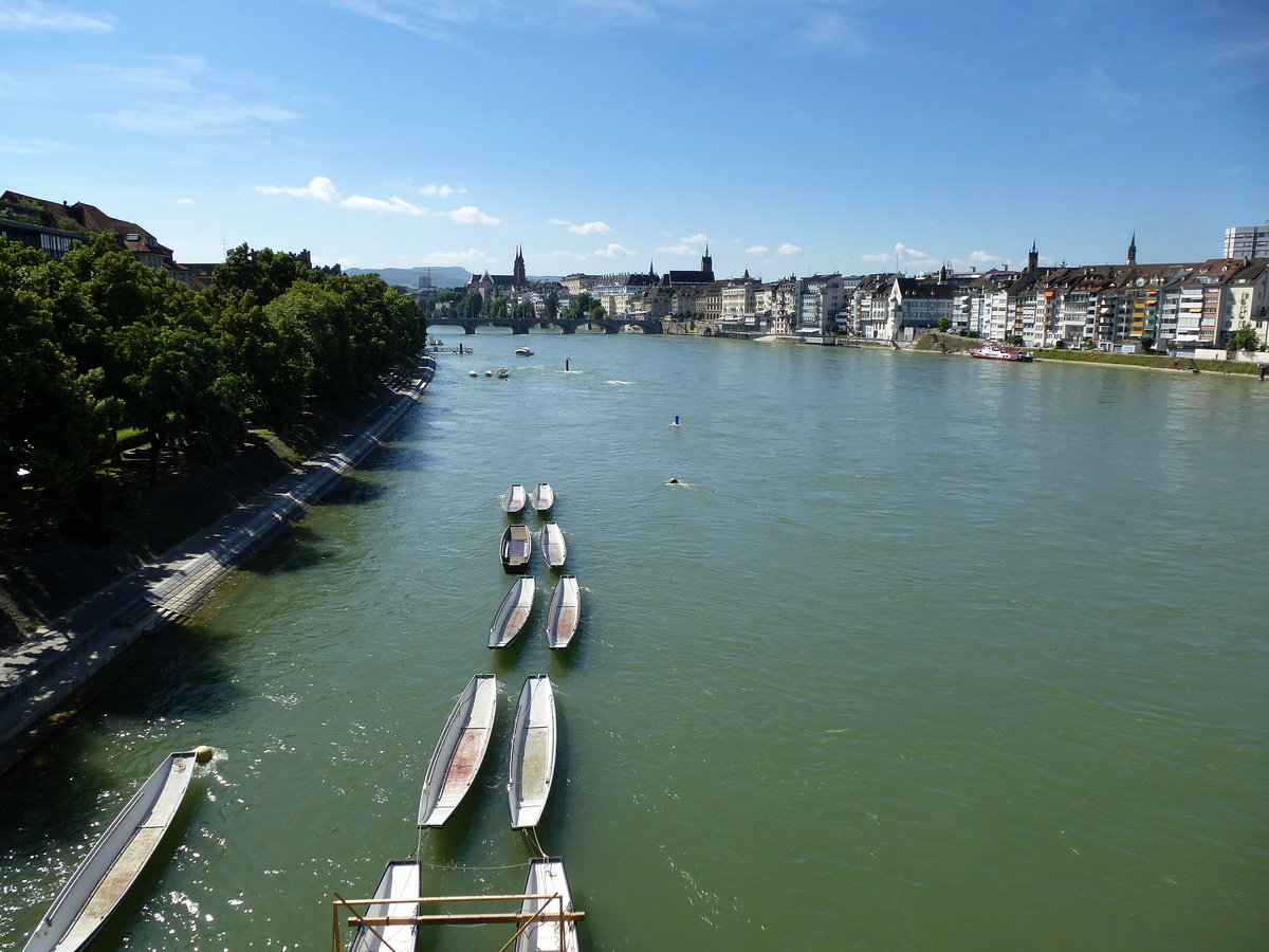 Basel, Blick von der Johanniterbrcke rheinaufwrts, mit dem Mnster im Hintergrund, links die Rheinuferpromenade in Kleinbasel, Juli 2016