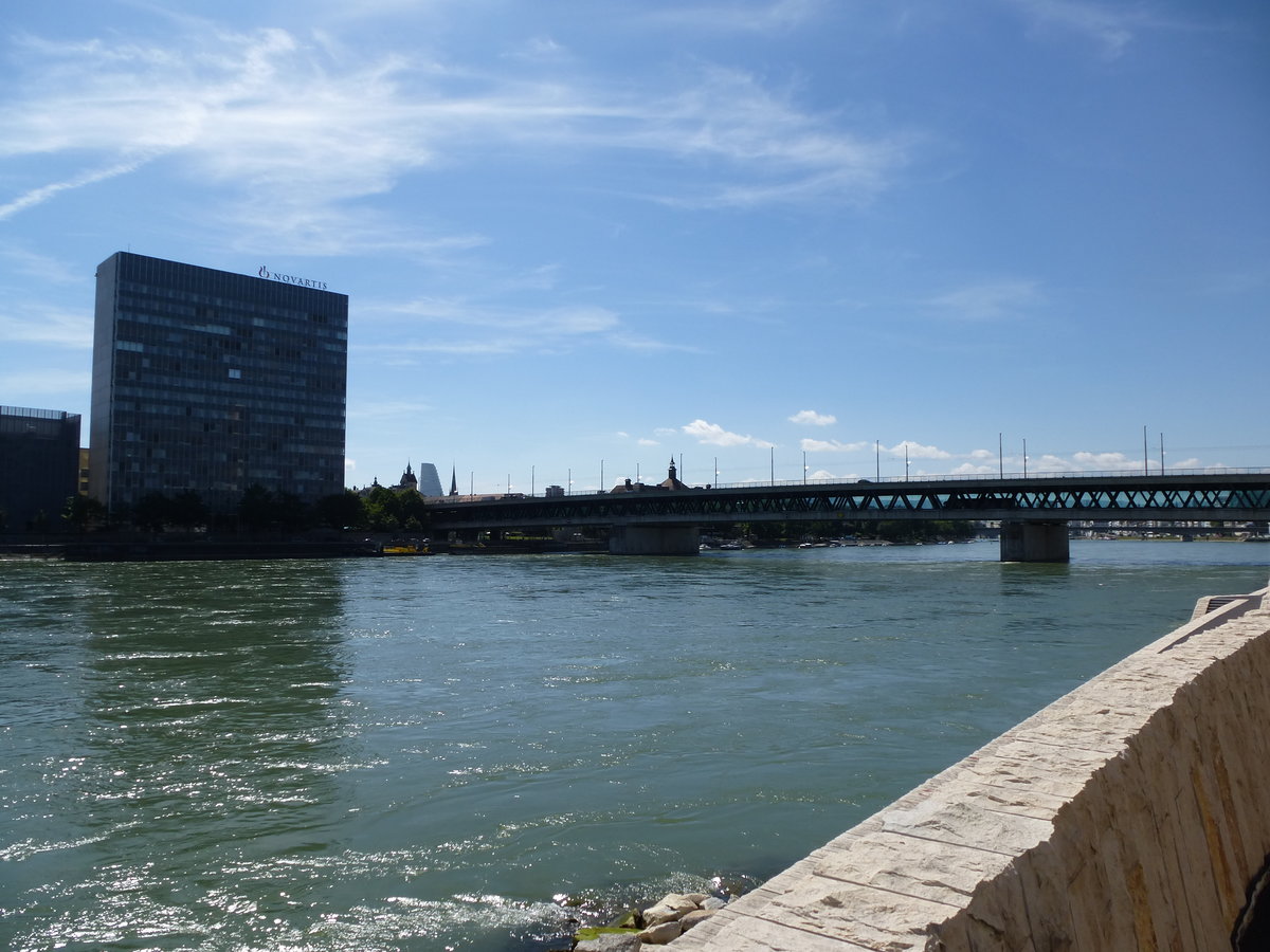 Basel, Blick vom neuen Rheinuferweg fluaufwrts zur Dreirosenbrcke mit dem Novartis-Hochhaus in Kleinbasel, Juli 2016