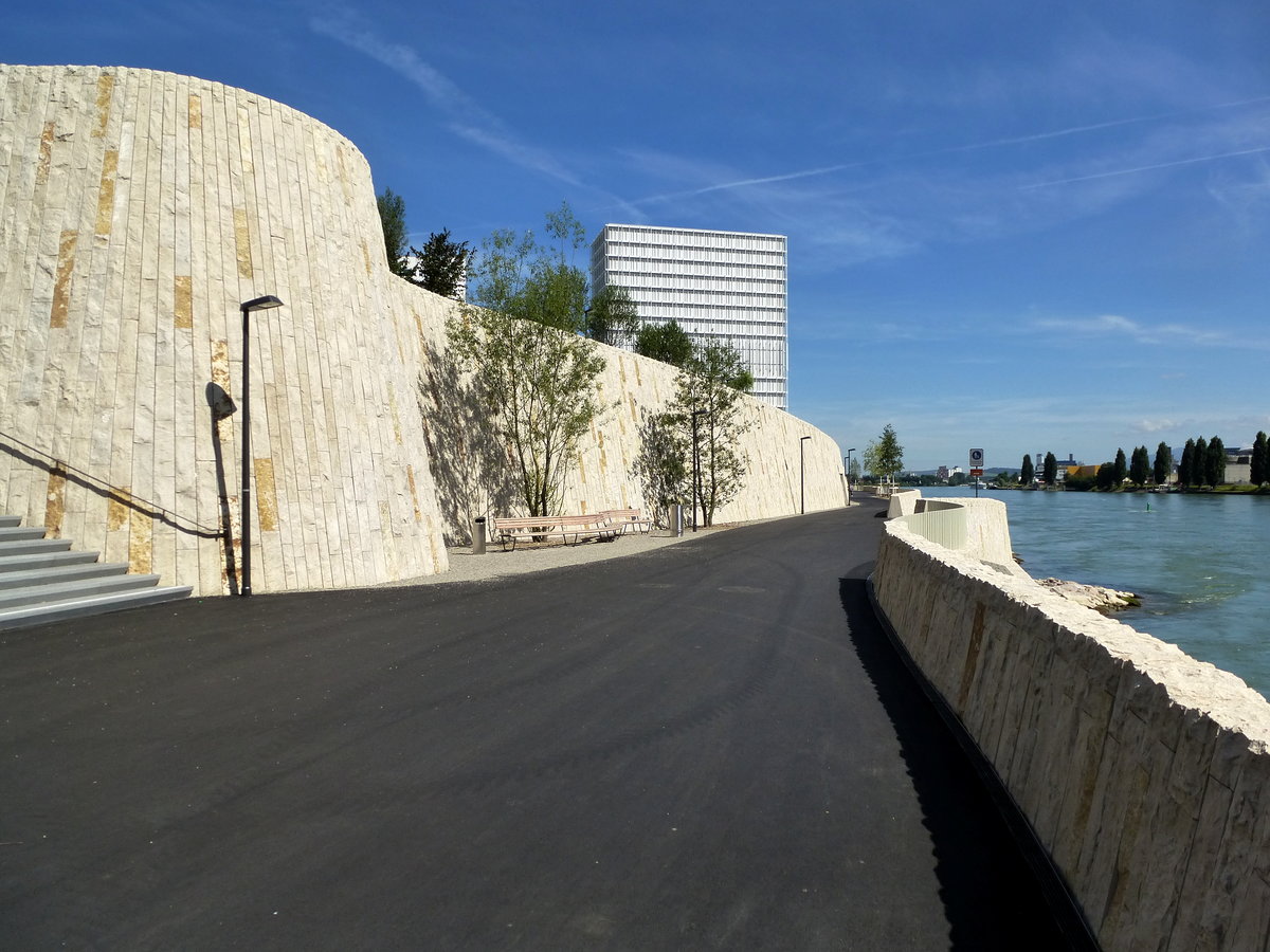 Basel, der neugestaltete Rheinuferweg fr Fugnger und Radfahrer am Novartis Campus, Juli 2016