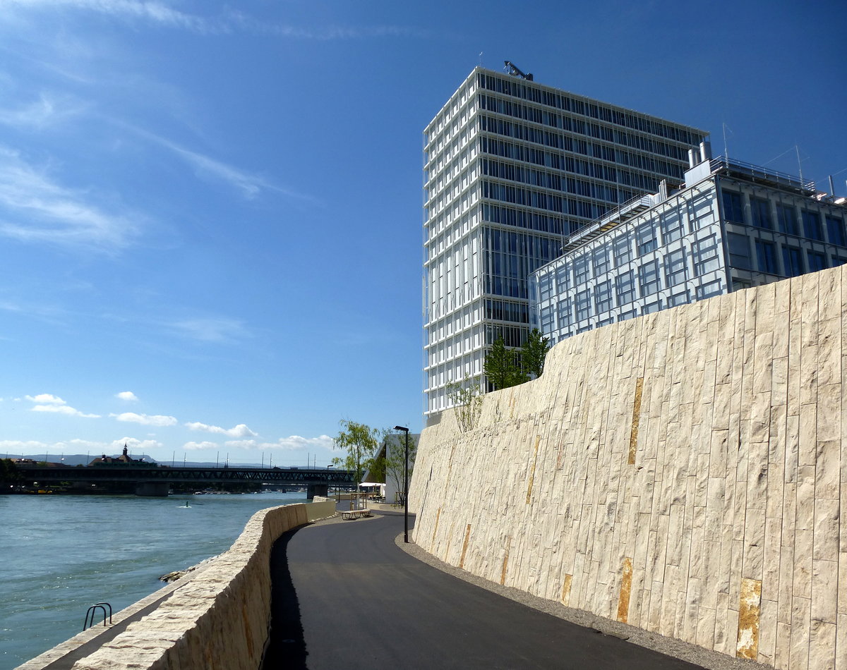 Basel, Rheinuferweg mit Hochhaus am Novatis-Campus, Juli 2016