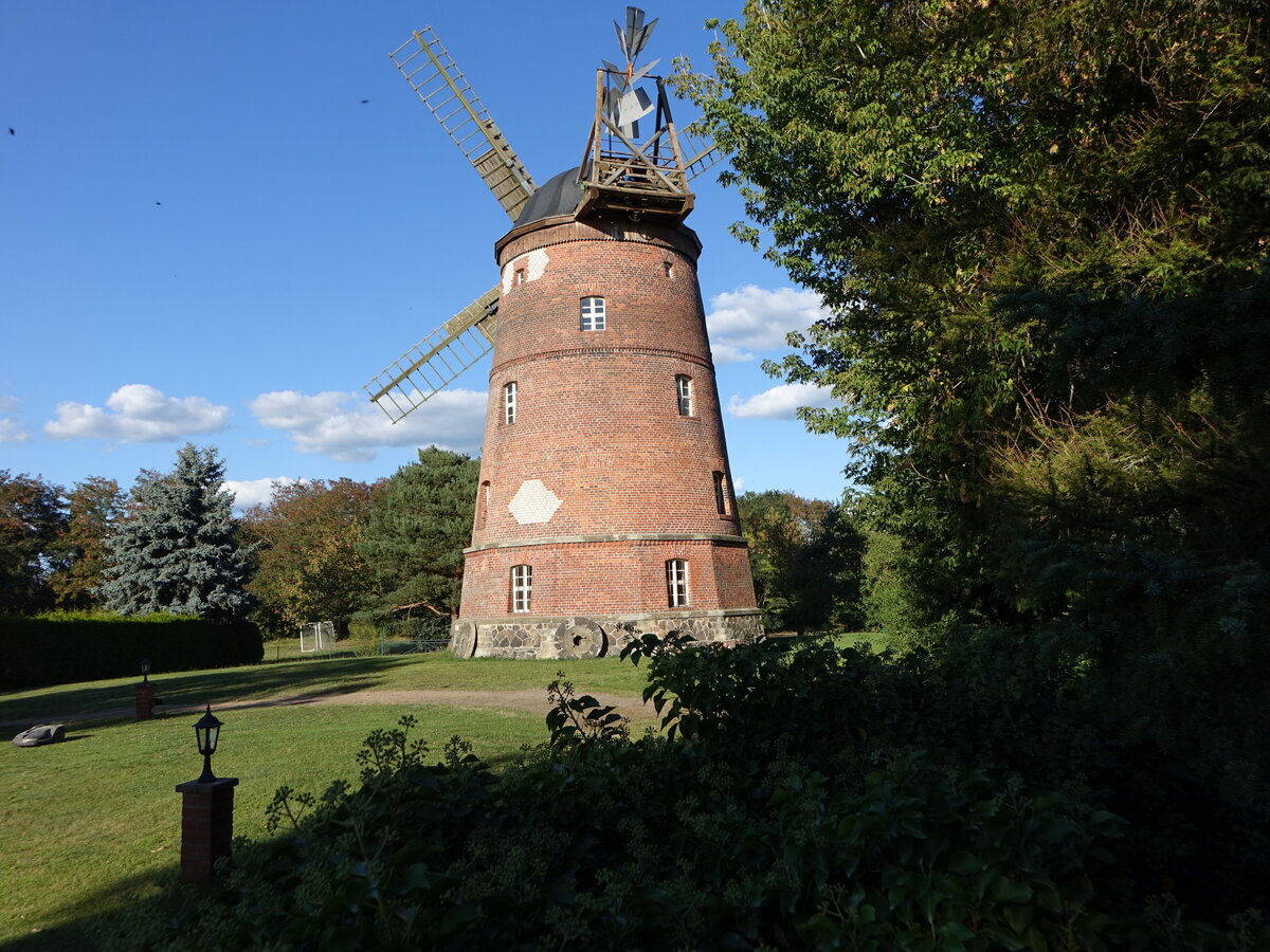 Beilrode, Holl�nderwindm�hle, erbaut 1870 (07.09.2025)