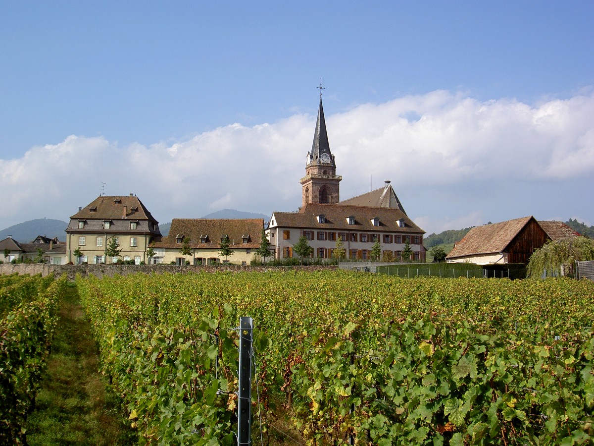 Bergheim, Pfarrkirche Maria Himmelfahrt, erbaut von 1320 bis 1347 (04.10.2014)