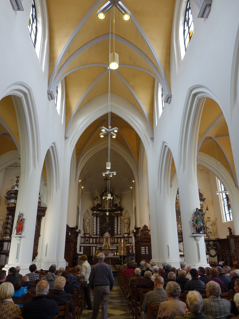Beringen, Langschiff der St. Peter Kirche, Hochaltar von Tillman Janssens, Seitenaltre von Anton Goubau (25.04.2015)