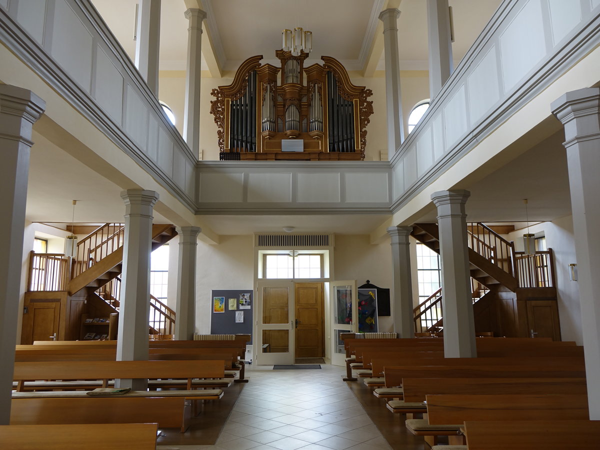 Berwangen, Orgelempore in der Ev. Kirche, erbaut durch Karl August Schwarz (25.07.2016)