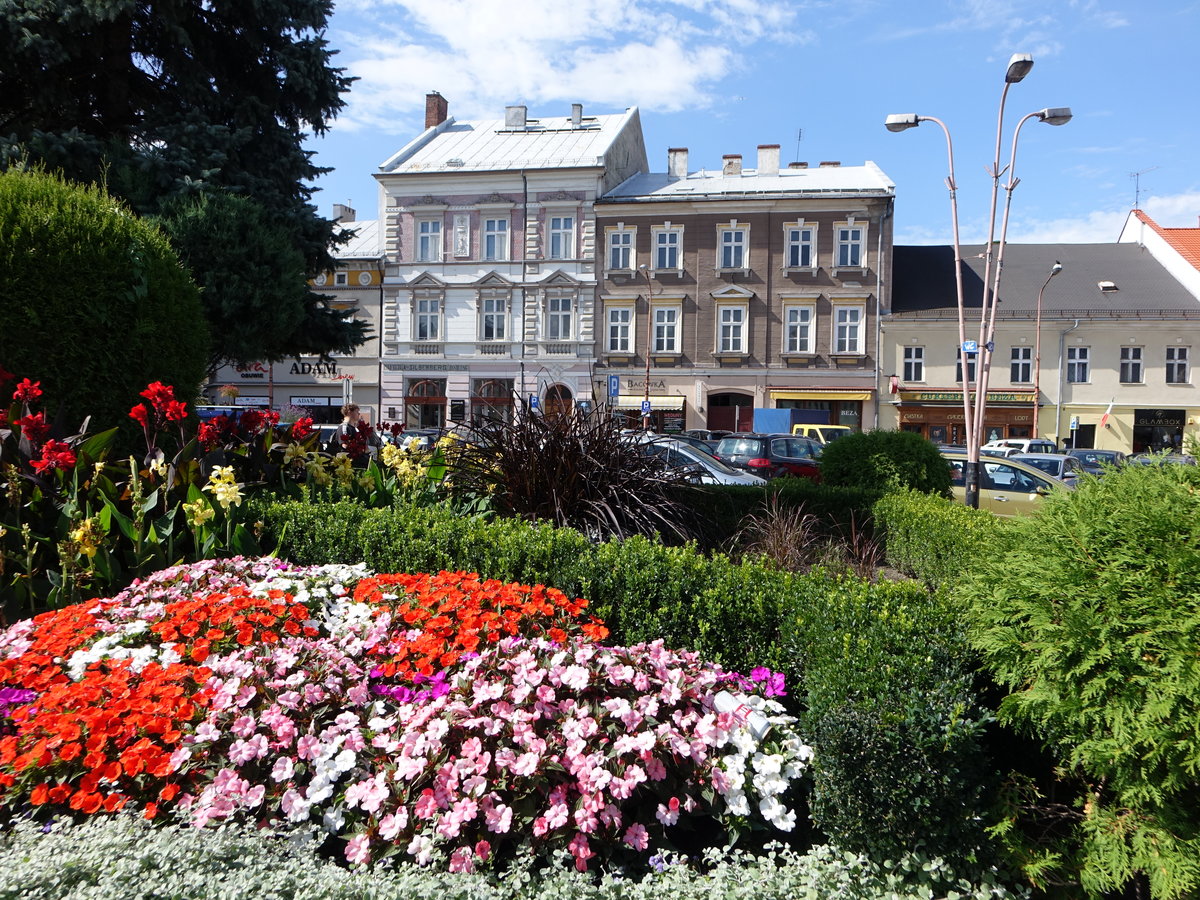 Bielsko-Biala, Blumenschmuck und Huser am Plac Wojska Polskiego (05.09.2020)