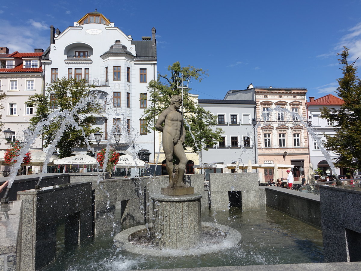 Bielsko-Biala, Posejdon Brunnen am Hauptplatz Rynek  (05.09.2020)