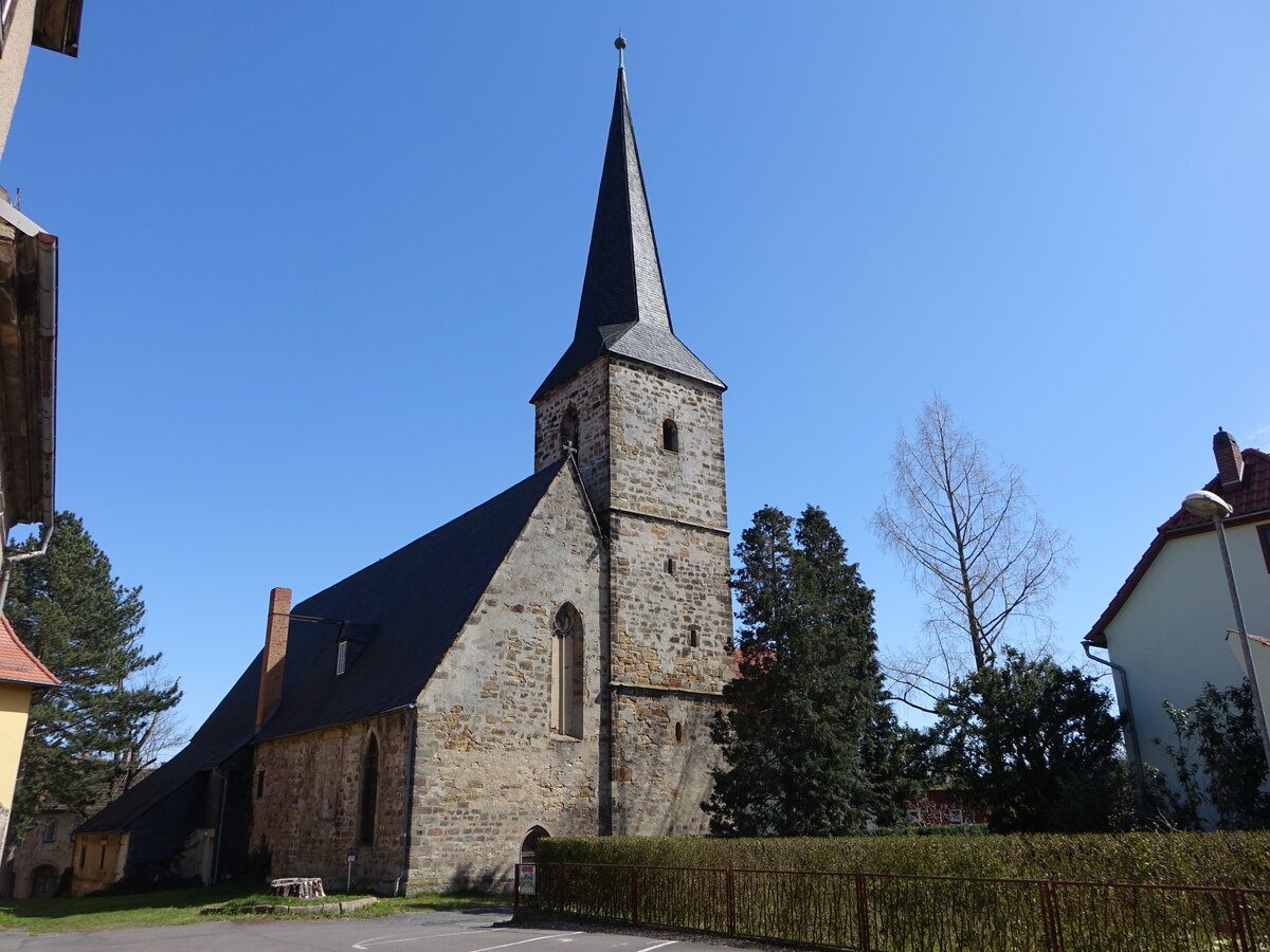 Blankenhain, evangelische Kirche St. Severi, erbaut von 1481 bis 1493 (17.04.2022)