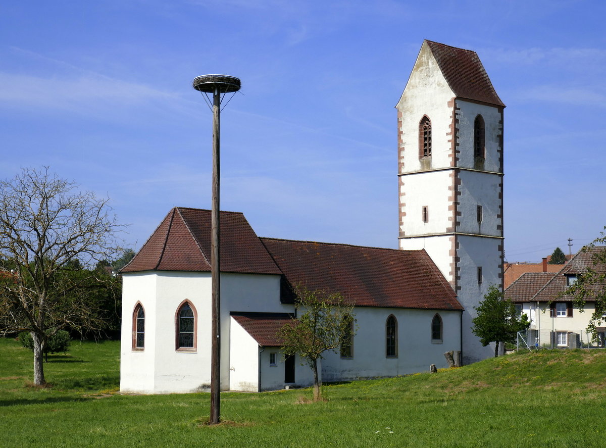 Blansingen im Markgrflerland, die St.Peterskirche, erste urkundliche Erwhnung 1173, seit 1556 evangelisch,Juli 2019