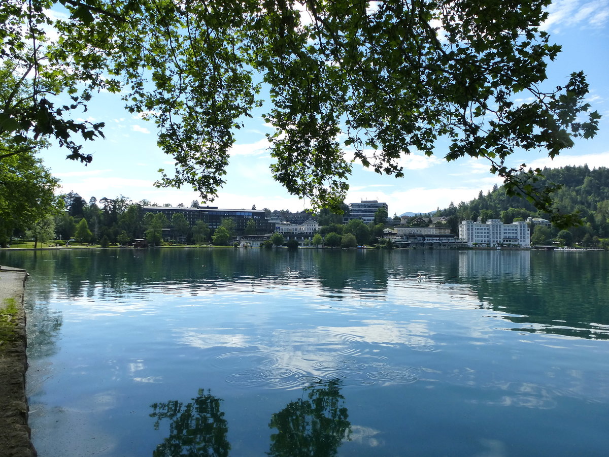 Bled, an der Uferpromenade, Juni 2016