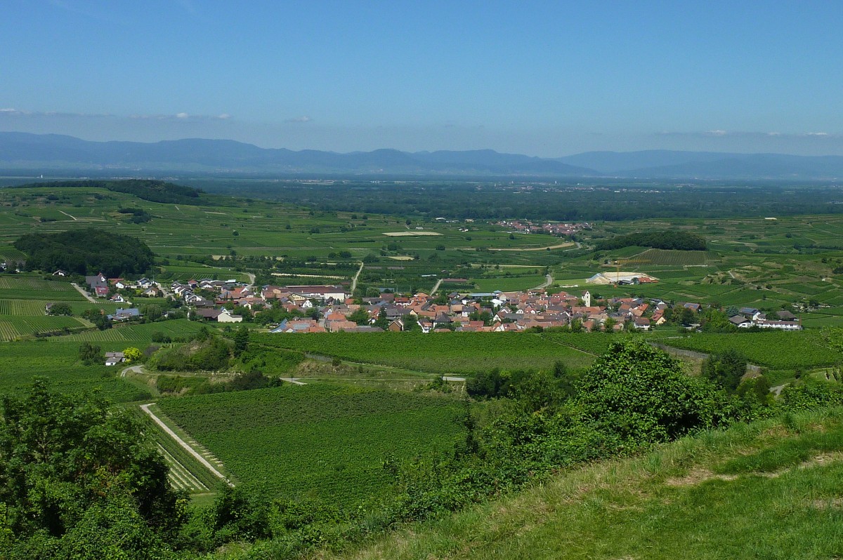 Blick vom 370m hohen Aussichtspunkt  Mondhalde  im westlichen Kaiserstuhl auf den Weinort Bischoffingen, die Rheinebene und die Vogesen im Hintergrund, Juni 2011
