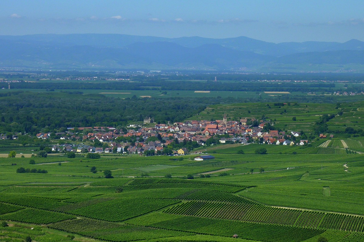 Blick vom 370m hohen Aussichtspunkt  Mondhalde  im westlichen Kaiserstuhl auf den Weinort Burkheim, die Rheinebene und im Hintergrund die Vogesen, Juni 2011